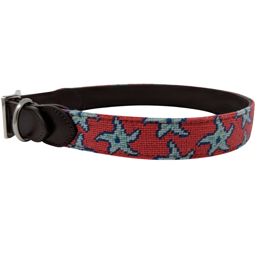 Starfish Needlepoint Dog Collar – Nauticollar