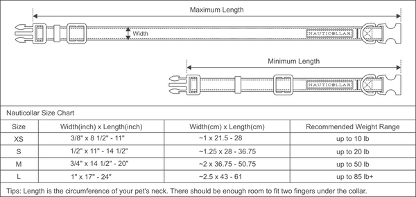 How to Measure Your Dog for a Collar (with Sizing Chart)