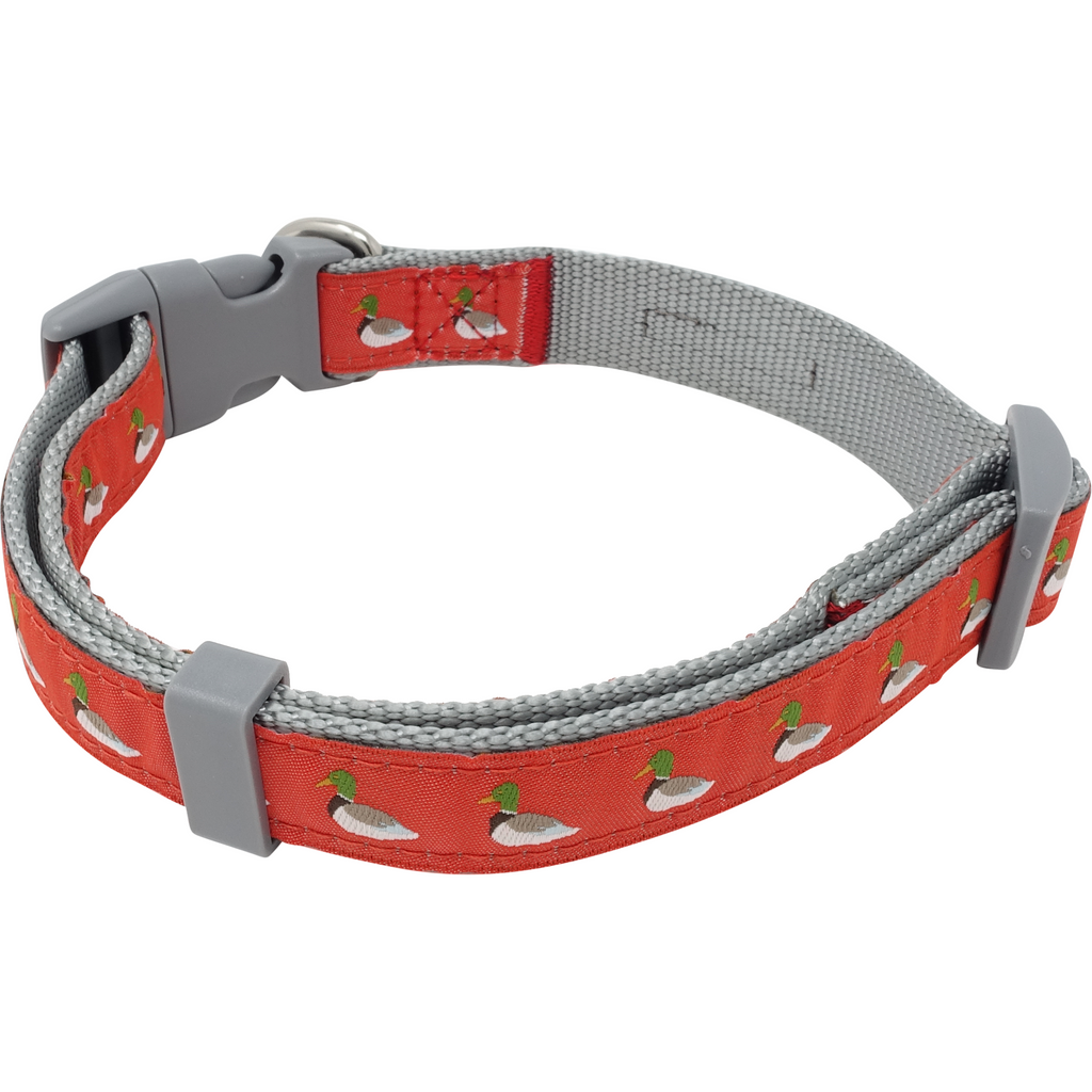 Duck dog collar best sale