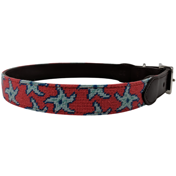 Starfish Needlepoint Dog Collar – Nauticollar