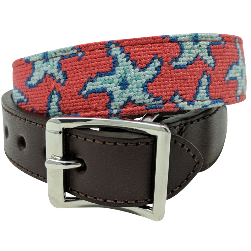 Starfish Needlepoint Dog Collar – Nauticollar